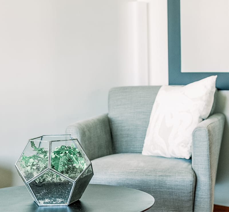 Rincón decorativo con butaca gris y planta en terrario, ejemplo de Home Staging en la Costa del Sol